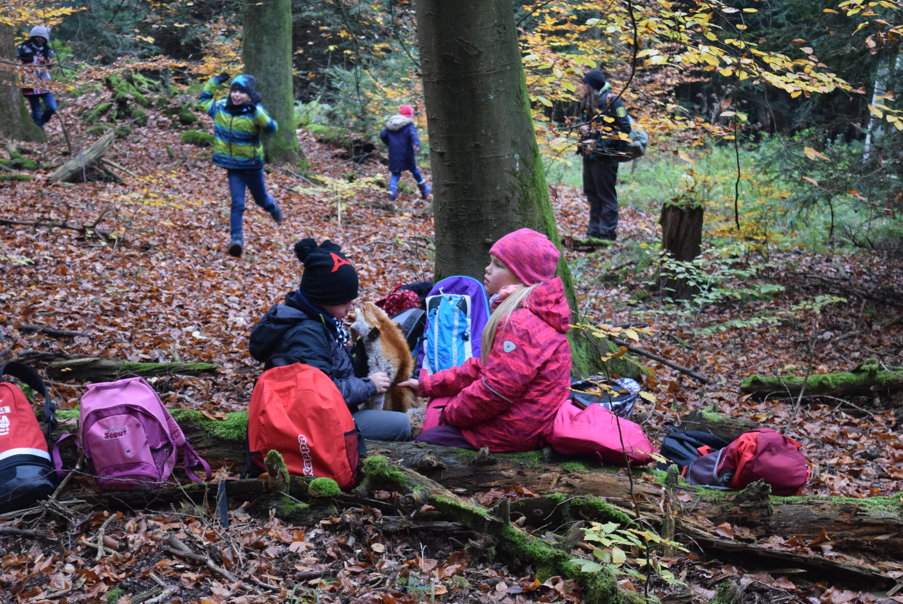 Walderkundung Klasse 3