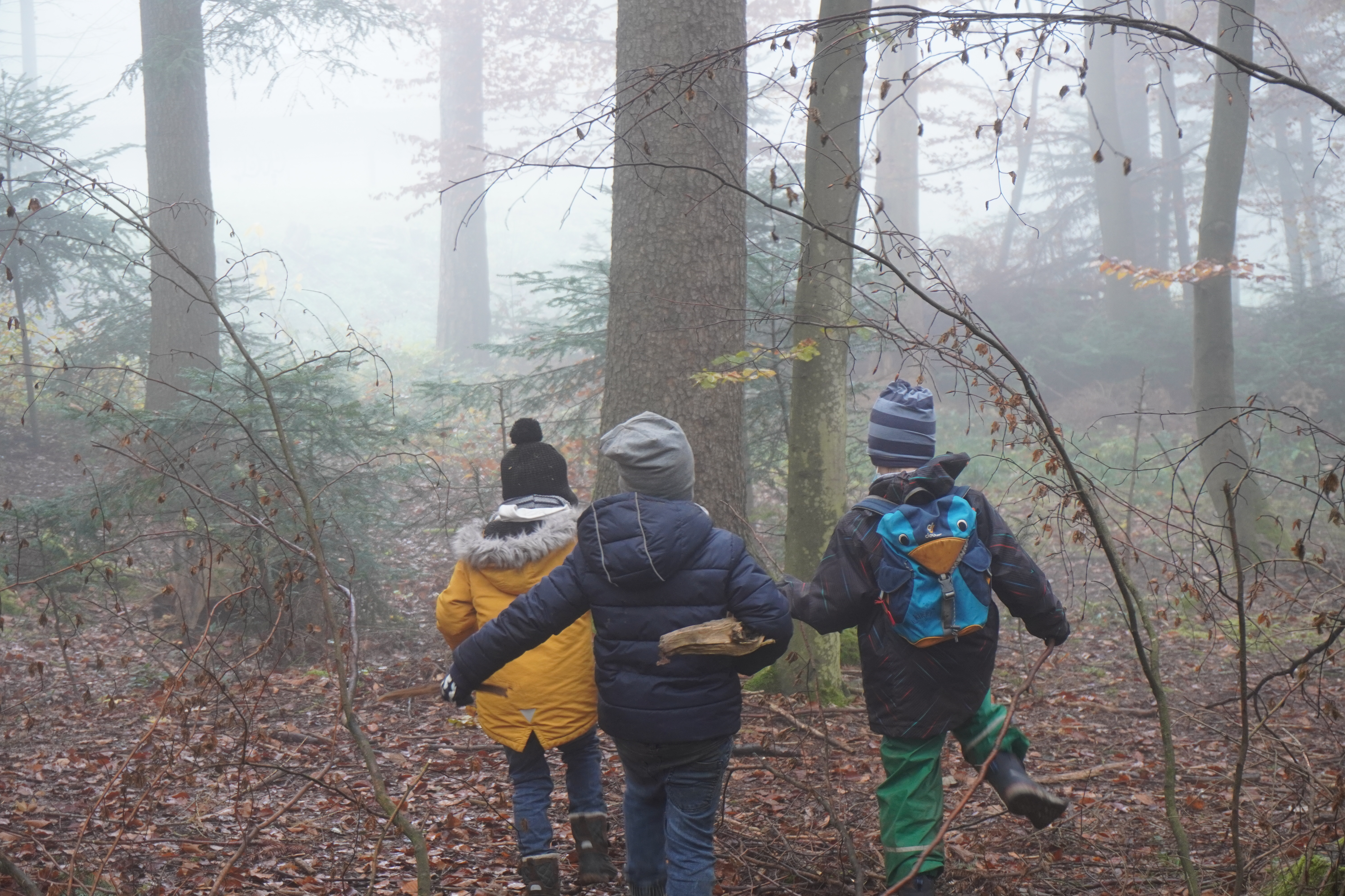 Wald-Abenteuer der Erstklässler
