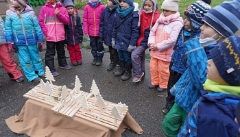 Baumeister im Winterwald
