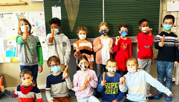 Karottenkohorte oder Kohortenkarotte?