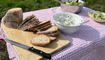 Essbare Wiesenkräuter