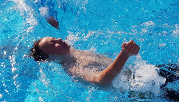 Seepferdchen-Bronze-Silber-Gold