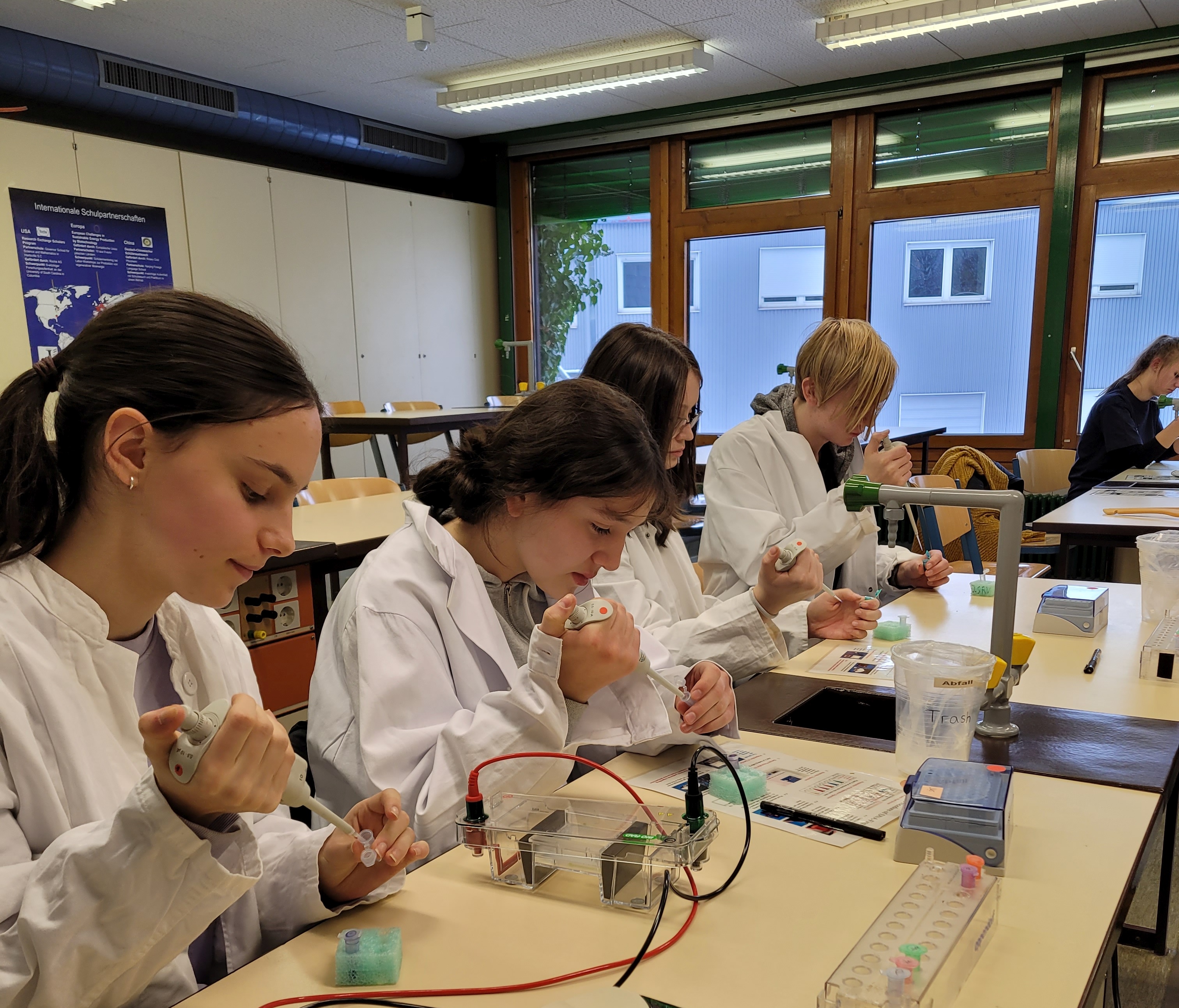Biotechnologie - Experimentiernachmittag an der Johanna-Wittum-Schule