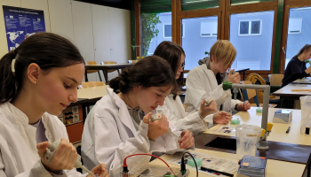 Biotechnologie - Experimentiernachmittag an der Johanna-Wittum-Schule