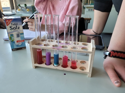 Ziemlich angesäuert und ausgelaugt? Die 10R1 in Chemie...