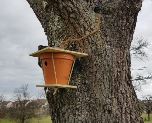 Die Klasse 3b auf der Streuobstwiese mit Tierspurensuche