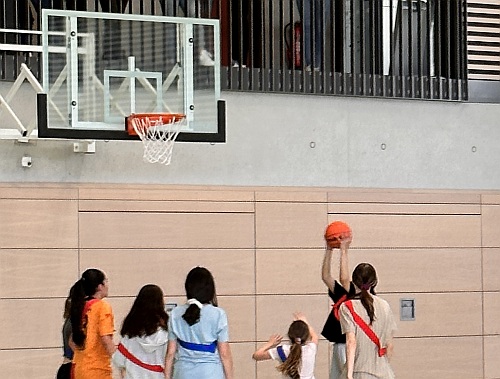 Basketball - LUS on fire!