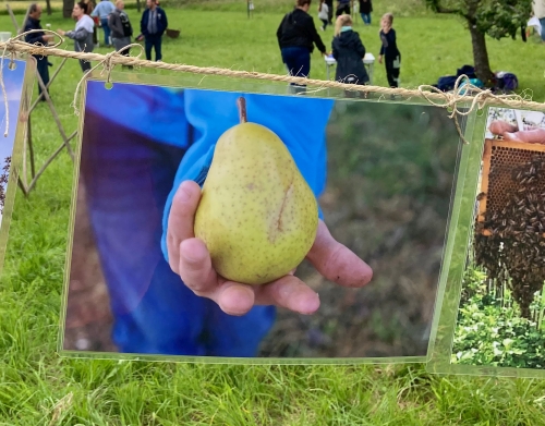 Tag der offenen Wiese! 