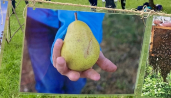 Tag der offenen Wiese! 