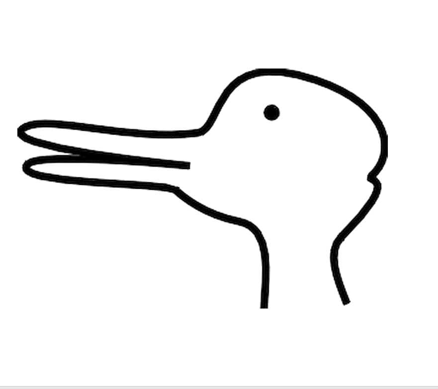 Just arrived: Unsere neuen Fünftklässler