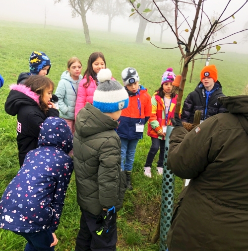 Die 2b auf der Streuobstwiese...