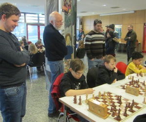 Tim beobachtet seine Schützlinge - Kopie