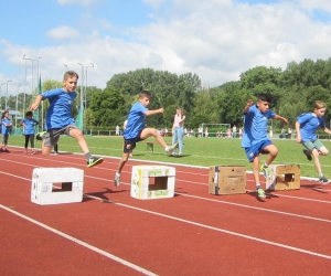 Hürdensprint