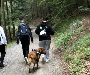 C9872FCE-52F9-487B-8A4F-13183BE938FC