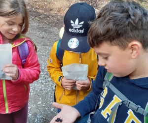 4770D839-5EA9-44F6-BAD3-067B45F6CACE