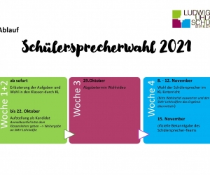 Ablauf Wahl_21_22