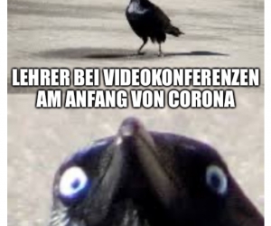 Videokonferenzen