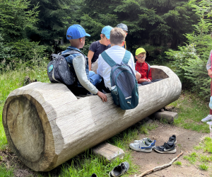 431D5D71-8B42-4AAF-A5C6-23EB78DCD103