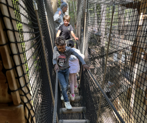 47853221-E3B1-4839-ABA6-6796A6409C4B