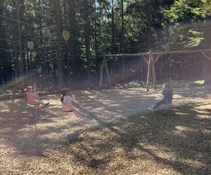 540DC984-A990-4A87-967B-5AFF85C3D5C4