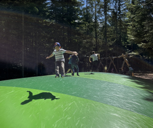 5D084187-D36C-4BDD-8150-878DE114E2B4