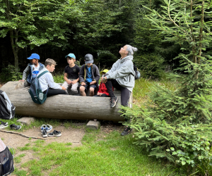 86DBAAC9-002C-4FAC-AD72-E101F2850D67