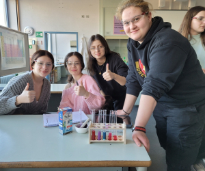 Saeuren_Laugen_10R1_1