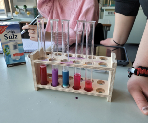 Saeuren_Laugen_10R1_2