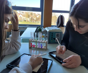 Saeuren_Laugen_10R1_3