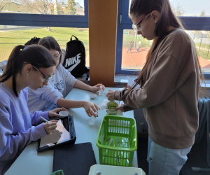 Saeuren_Laugen_10R1_6