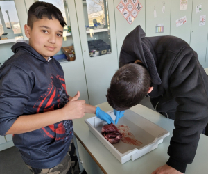 Herzpräparation_7R1_1