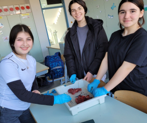 Herzpräparation_7R1_5