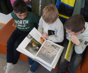 FV_Bilder_Spiele_Bücher_06