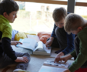 FV_Bilder_Spiele_Bücher_08