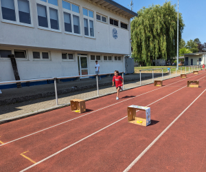 PXL_20230620_090921203 - Kopie