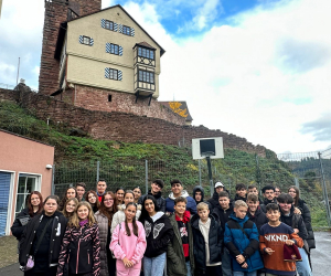 0fe4741f-5f3b-4e26-b886-2d2cadbc6f52