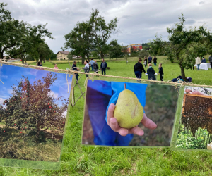 2024_06_14__Tag_der_offenen_Wie (38)