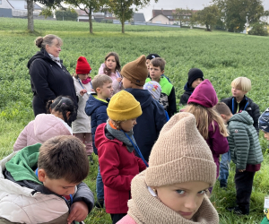Streuobstwiese_021
