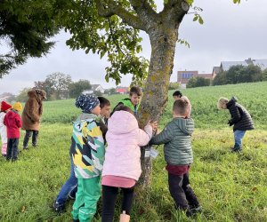 Streuobstwiese_036
