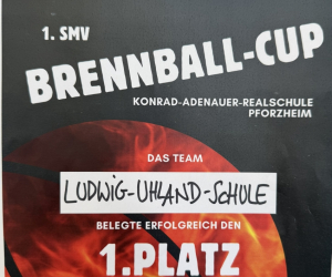 SMV_Brennball_06