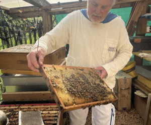 2026_Bienen_16