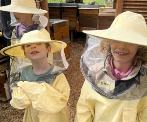 2026_Bienen_18